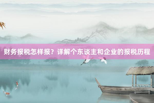 财务报税怎样报？详解个东谈主和企业的报税历程
